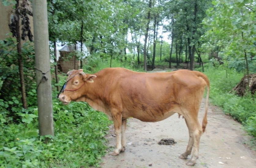 详细阅读:文山最新求一个套医保卡的黄牛是真的吗方法分析(最方便真实的文山求一个套医保卡的黄牛是真的吗还是假的方法) 文山最新求一个套医保卡的黄牛是真的吗方法分析(最方便真实的文山求一个套医保卡的黄牛是真的吗还是假的方法)